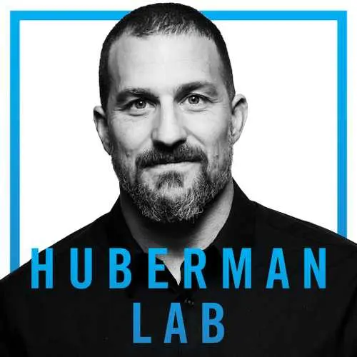 Andrew Huberman – Optimizing Workspace for Productivity, Focus, & Creativity